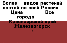 Более200 видов растений почтой по всей России › Цена ­ 100-500 - Все города  »    . Красноярский край,Железногорск г.